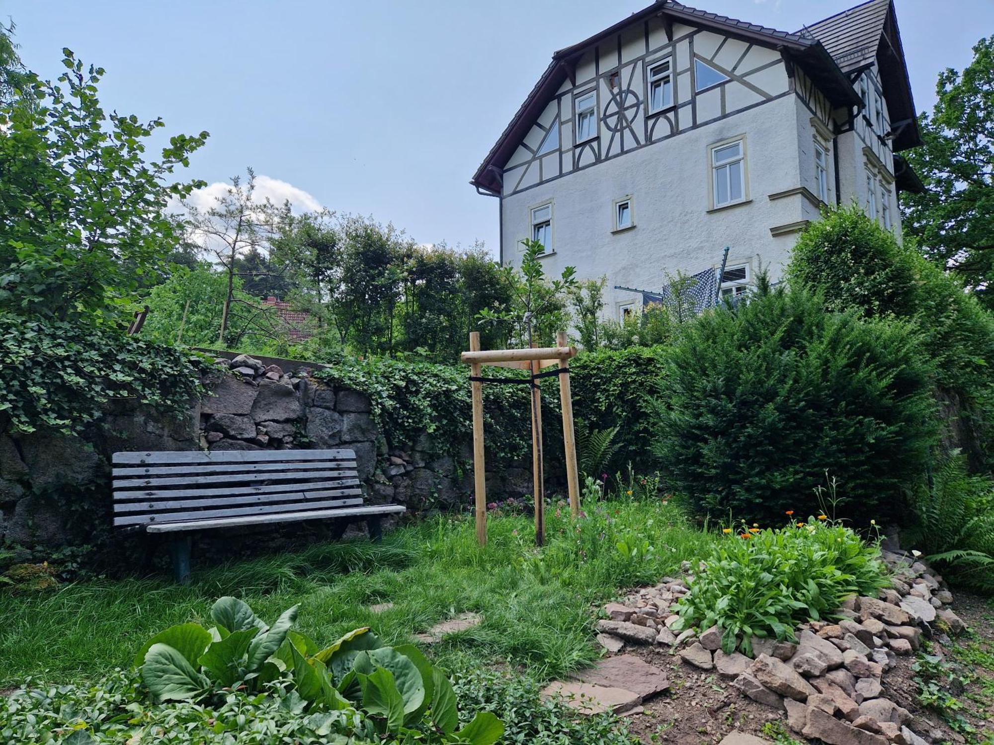 Ferienwohnung Im Logierhaus Villa Ihler Luisenthal ภายนอก รูปภาพ