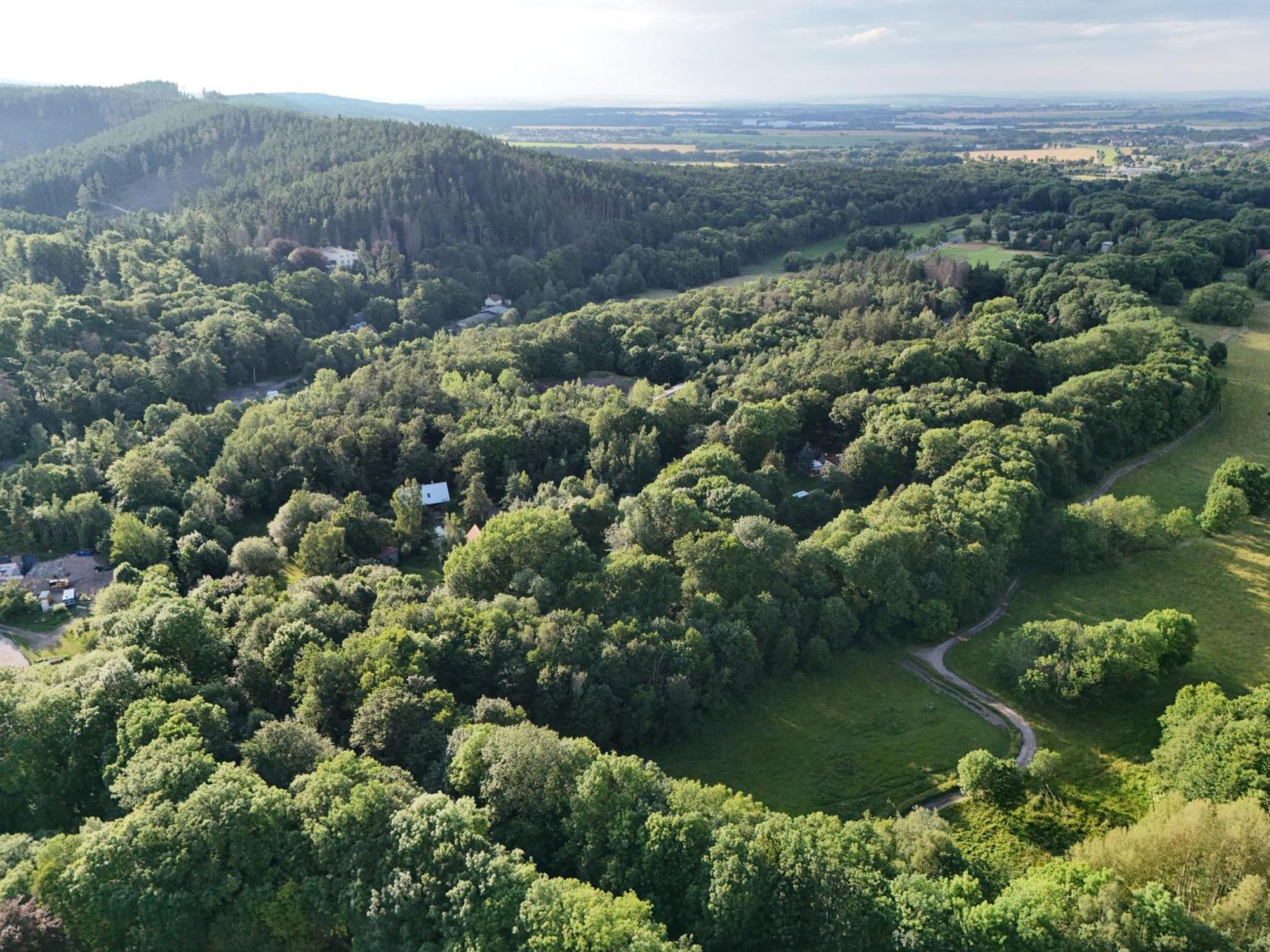 Ferienwohnung Im Logierhaus Villa Ihler Luisenthal ภายนอก รูปภาพ